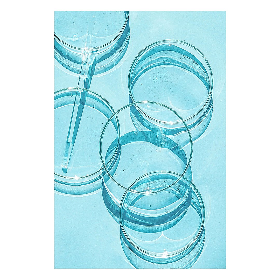 Petri Dish PP